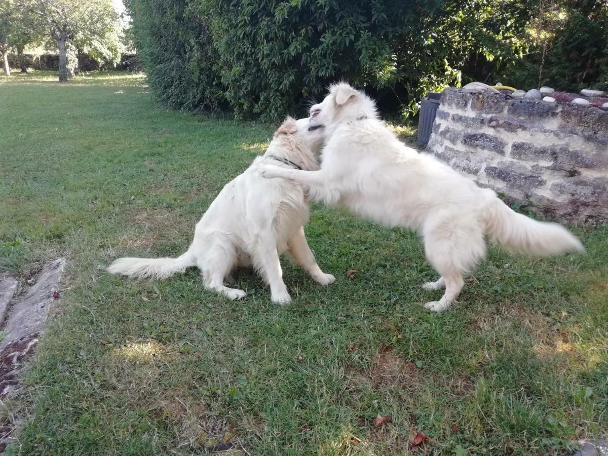Au verger de Marcilly Dış mekan fotoğraf